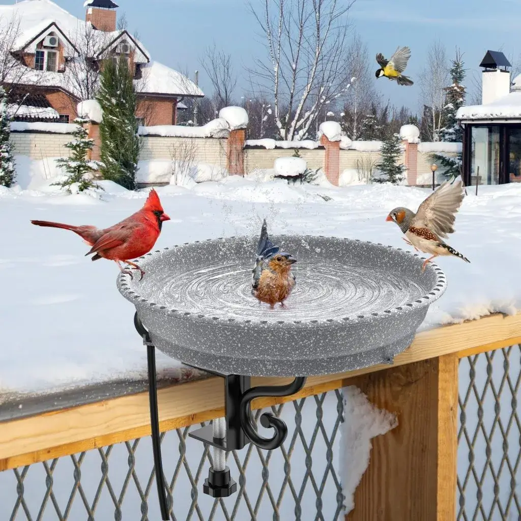 Bain d'oiseaux chauffé